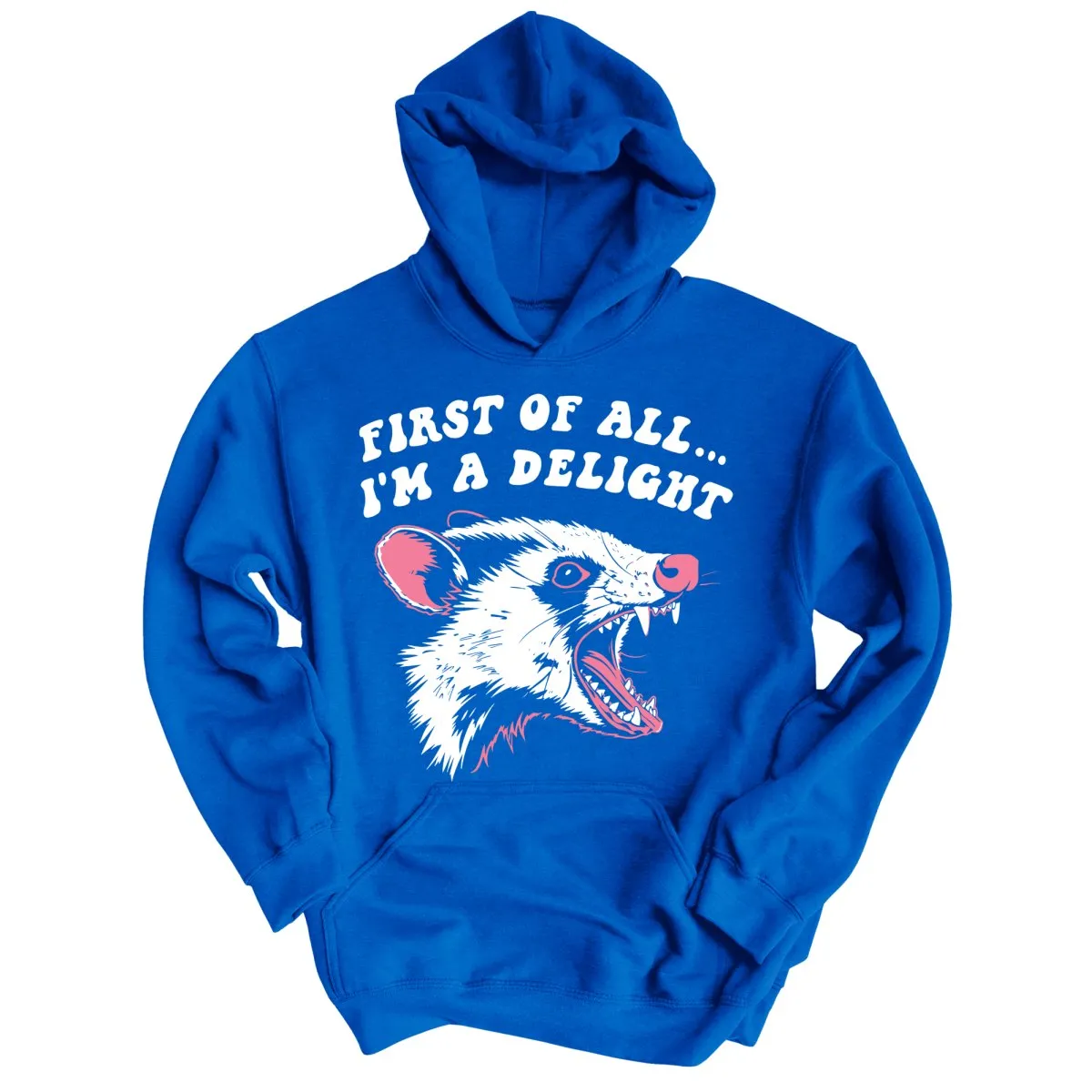 First Of All I'm A Delight Hoodie