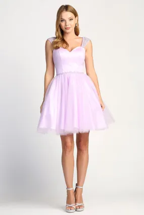 Light Purple Tulle Party Short Dress